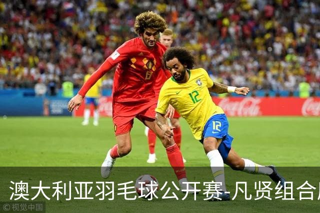 澳大利亚羽毛球公开赛-凡贤组合鏖战进决赛 混双中国揽冠亚